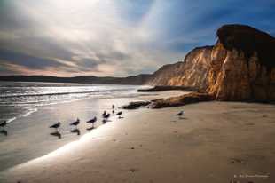 Drakes Bay-9817